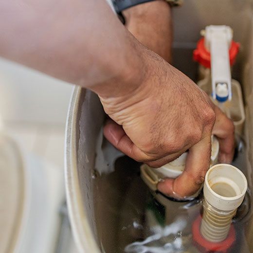 Same Day Toilet Plumbing Specialists In Grafton