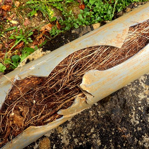 Same Day Drain Sewer & Rooter Pros Across Grafton